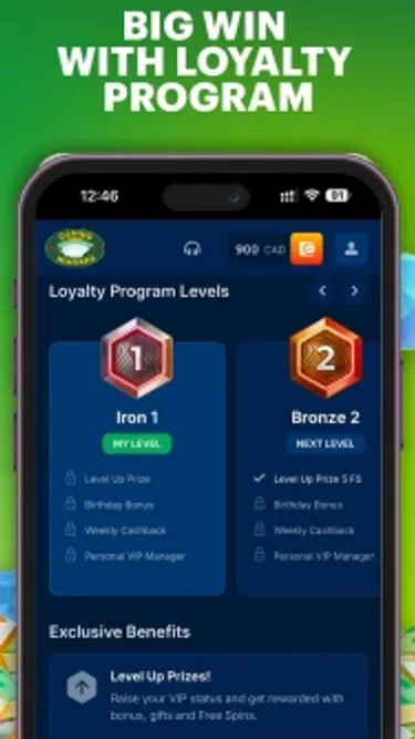 Niagara Casino Screenshot